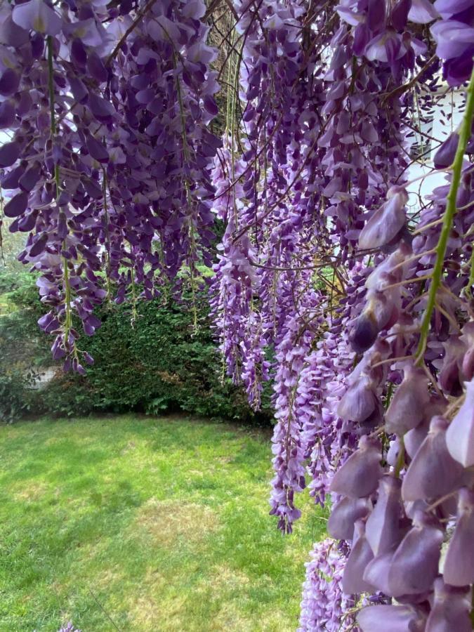 B&B Fior Di Toscana Serravalle Pistoiese Kültér fotó