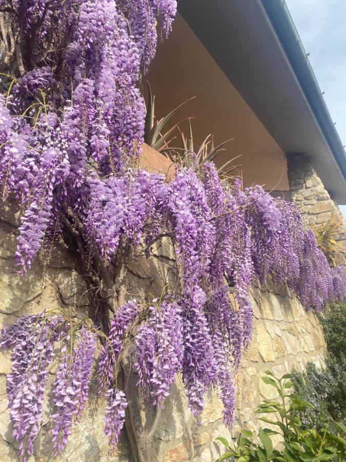 B&B Fior Di Toscana Serravalle Pistoiese Kültér fotó
