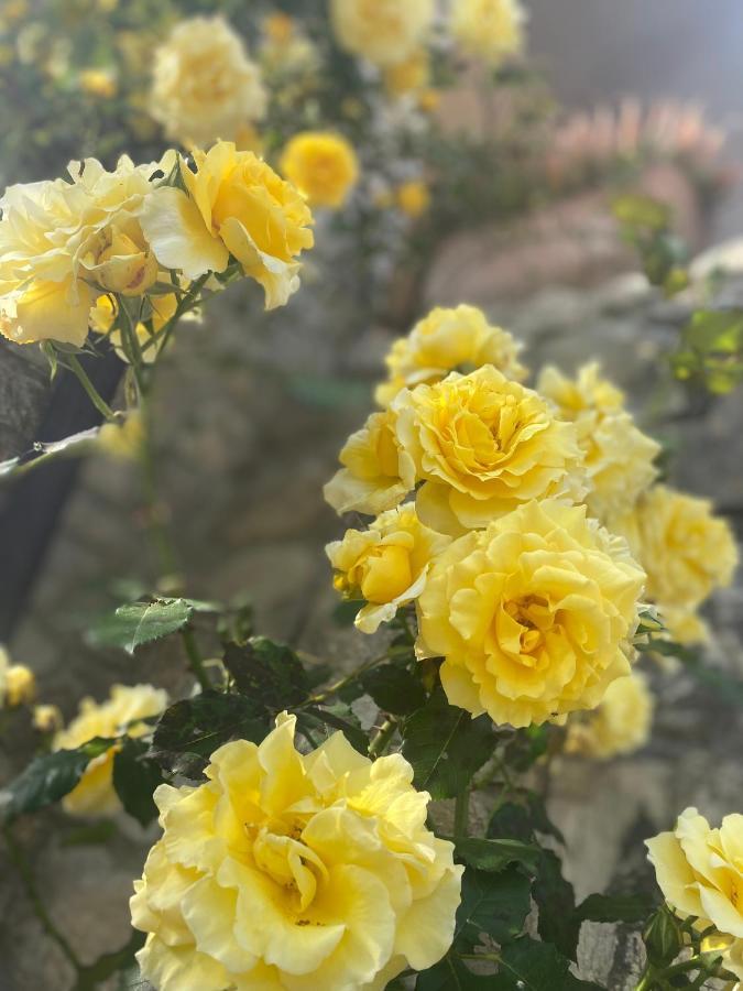 B&B Fior Di Toscana Serravalle Pistoiese Kültér fotó